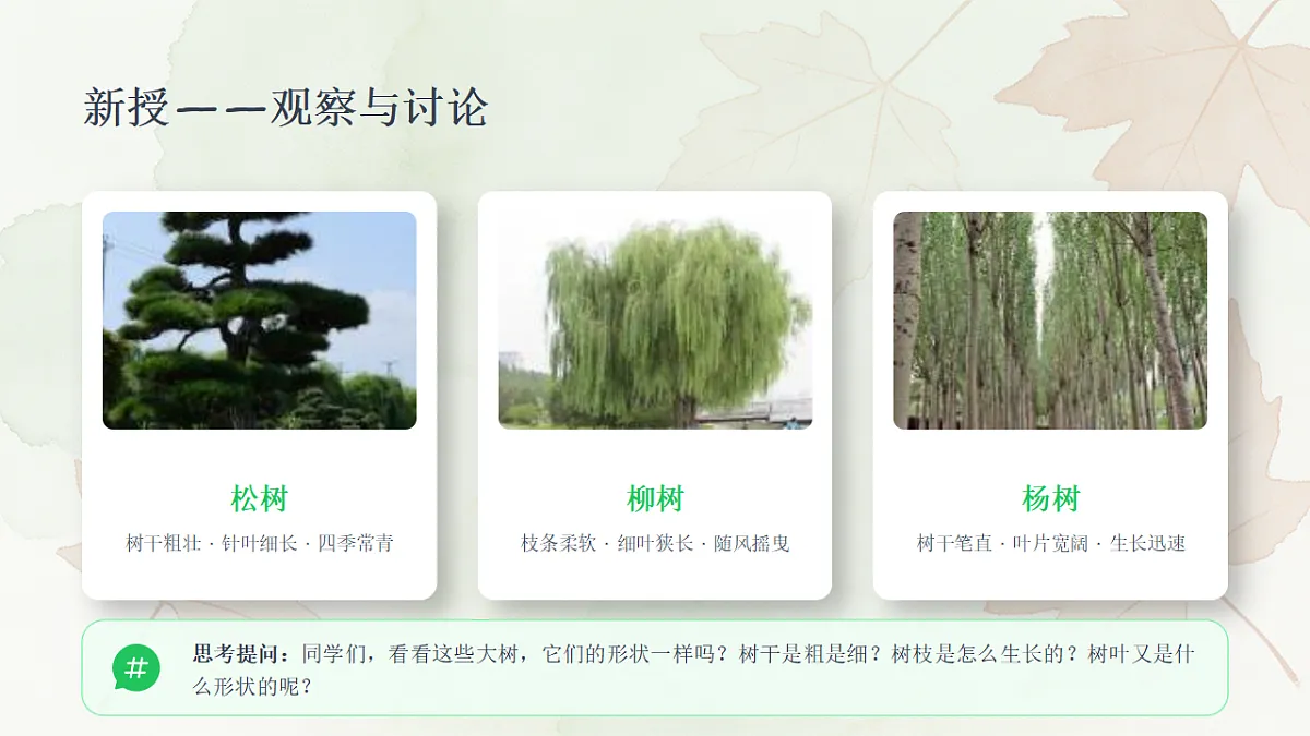 18355074第4页