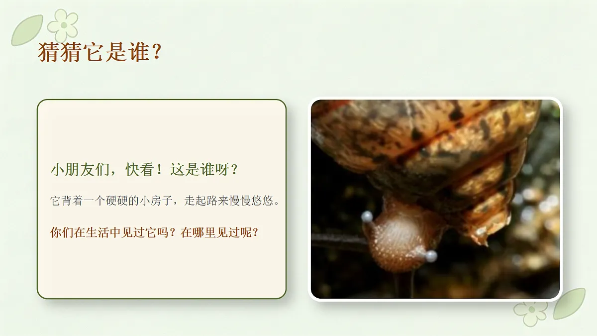 18355086第2页