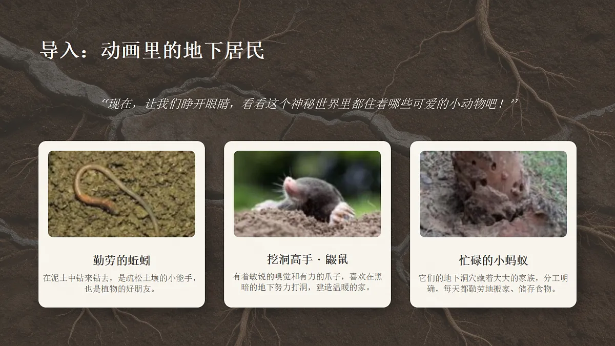 18355091第3页