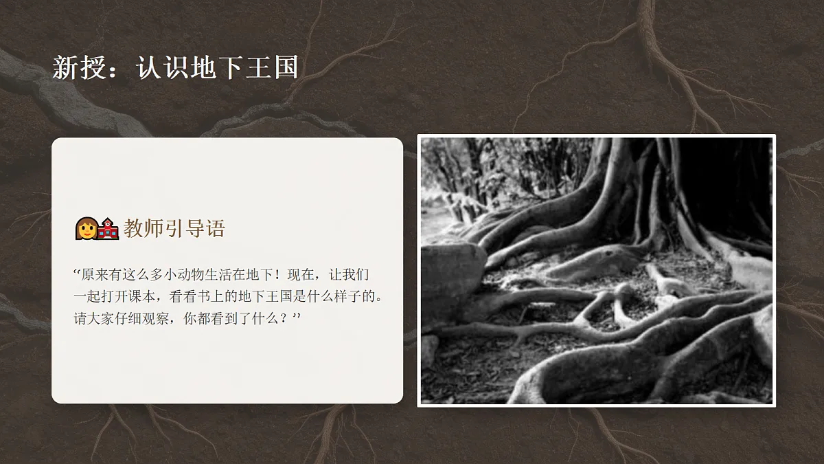 18355091第6页
