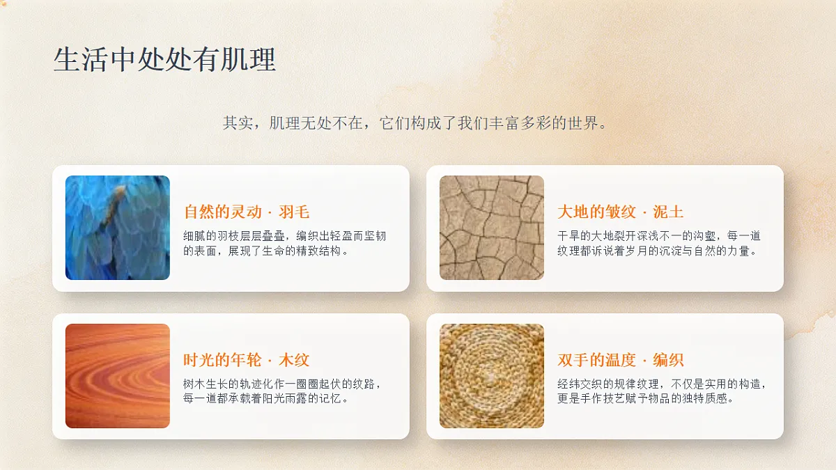 18356004第5页
