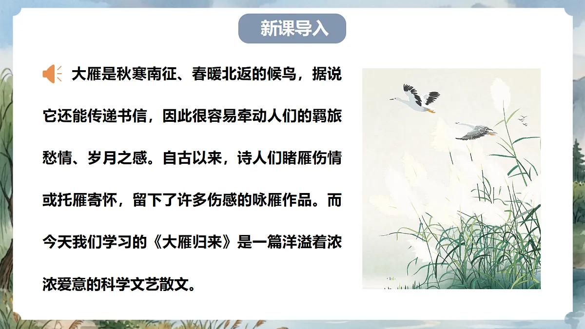 人教部编版语文七上 第19课《大雁归来》第一课时 课件第2页