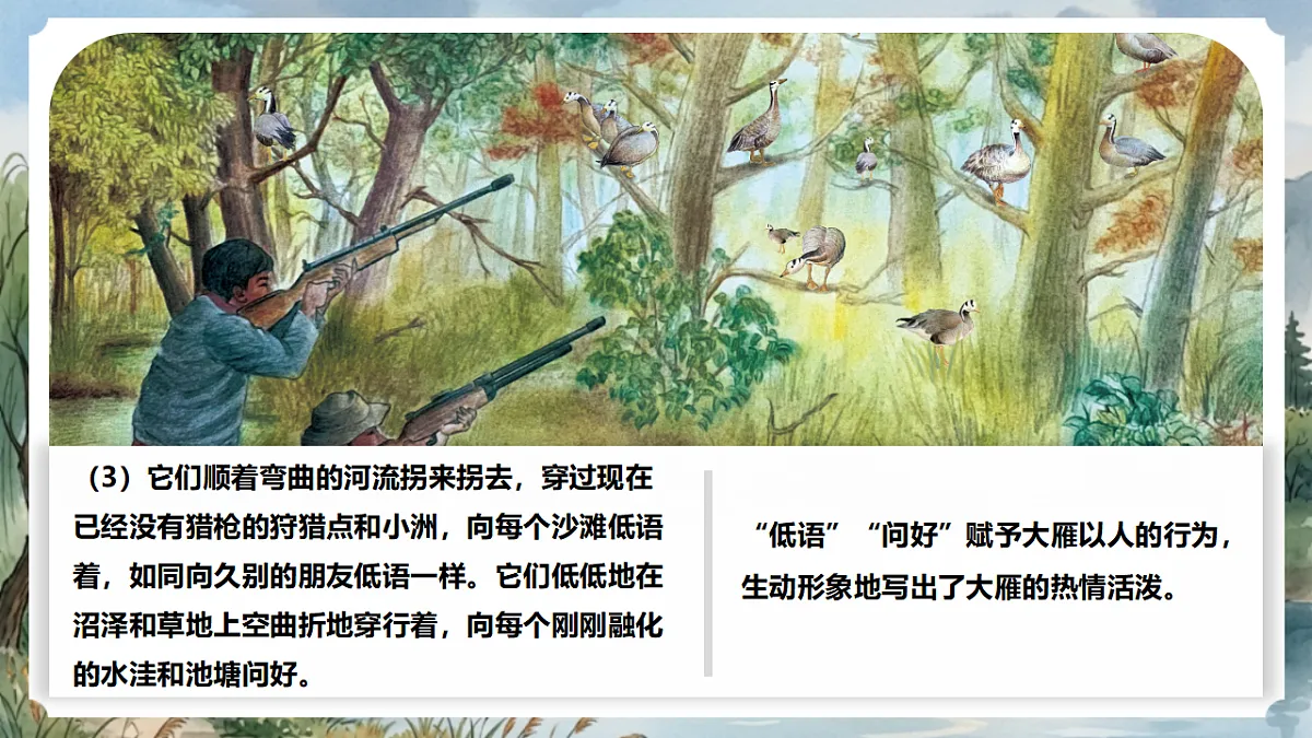 人教部编版语文七上 第19课《大雁归来》第二课时 课件第5页