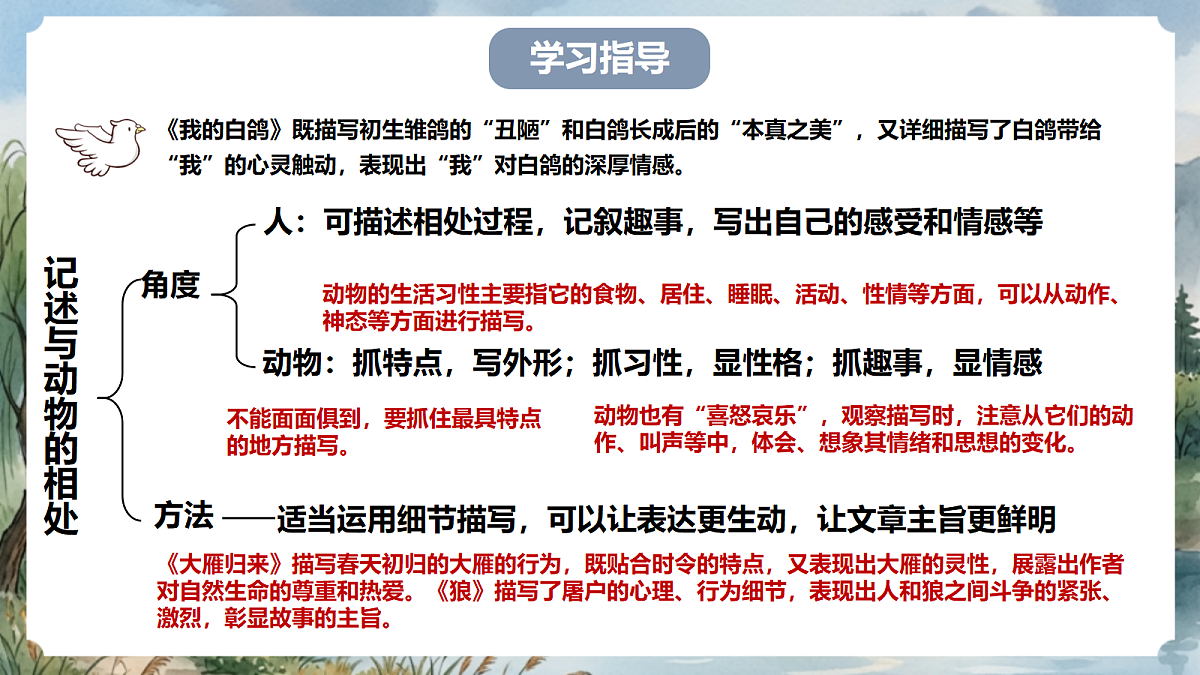 人教部编版语文七上 第五单元 任务三《记述与动物的相处》课件第6页