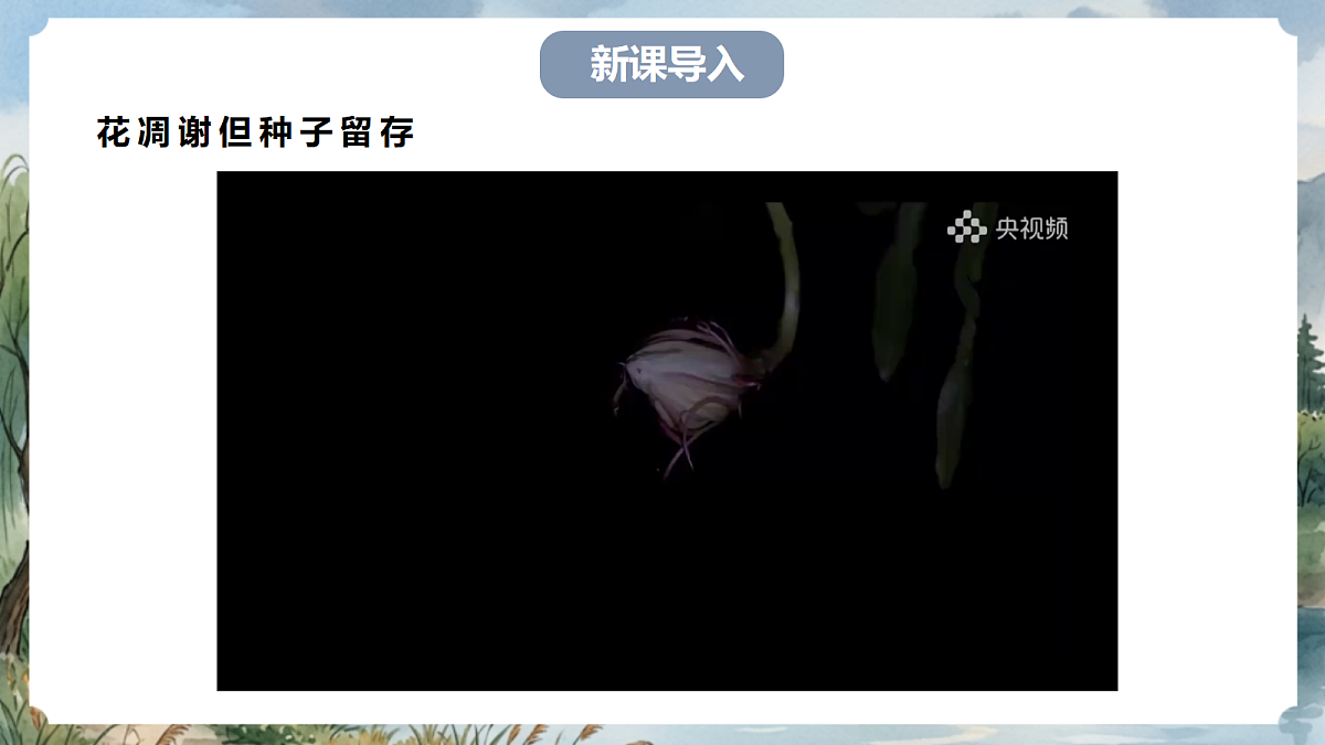 人教部编版语文八上 第17课 散文二篇《永久的生命》课件第3页