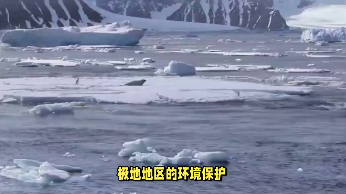 【新人教版】七下第十一章《极地地区》第 2 课时科学考察的宝地与极地环境保护教学课件第4页