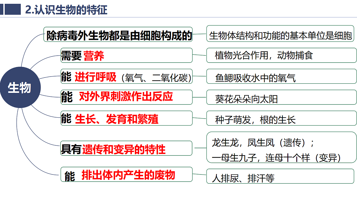 18363784第4页