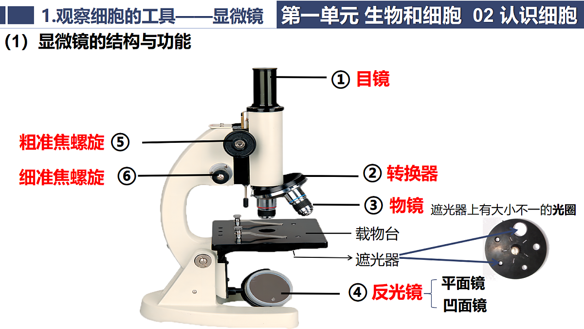 18363784第5页