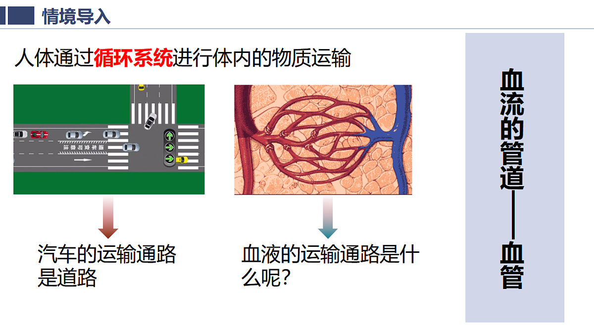 18363810第4页
