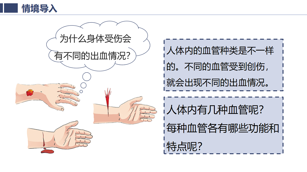 18363810第5页