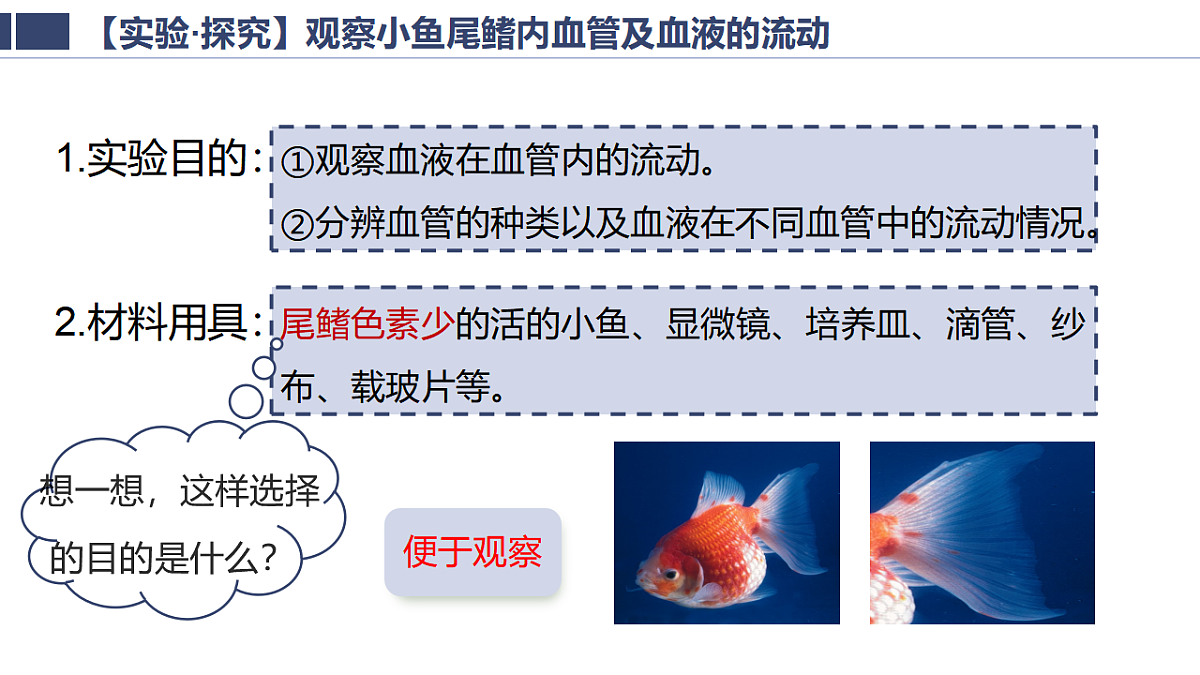 18363810第6页