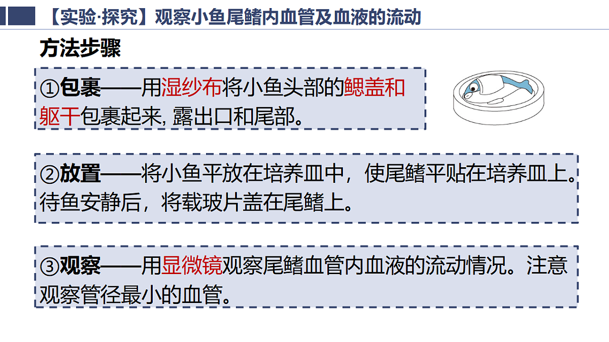 18363810第7页