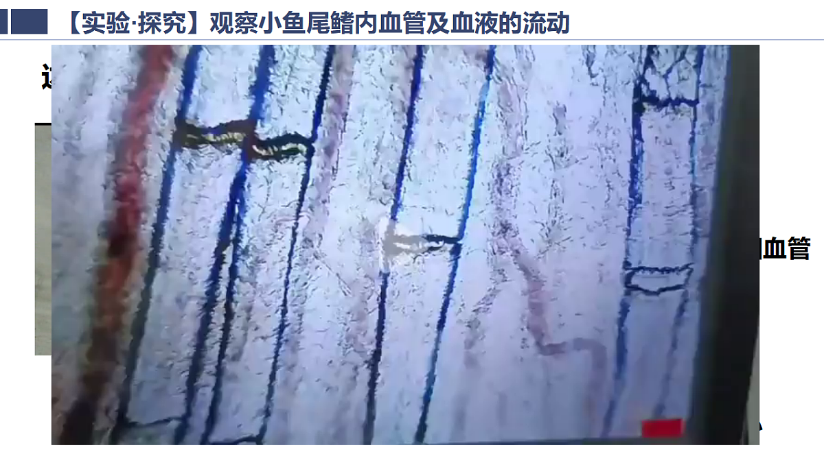 18363810第8页