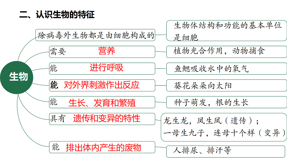 18364086第4页