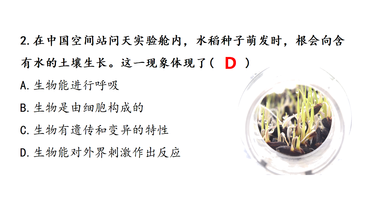 18364086第6页
