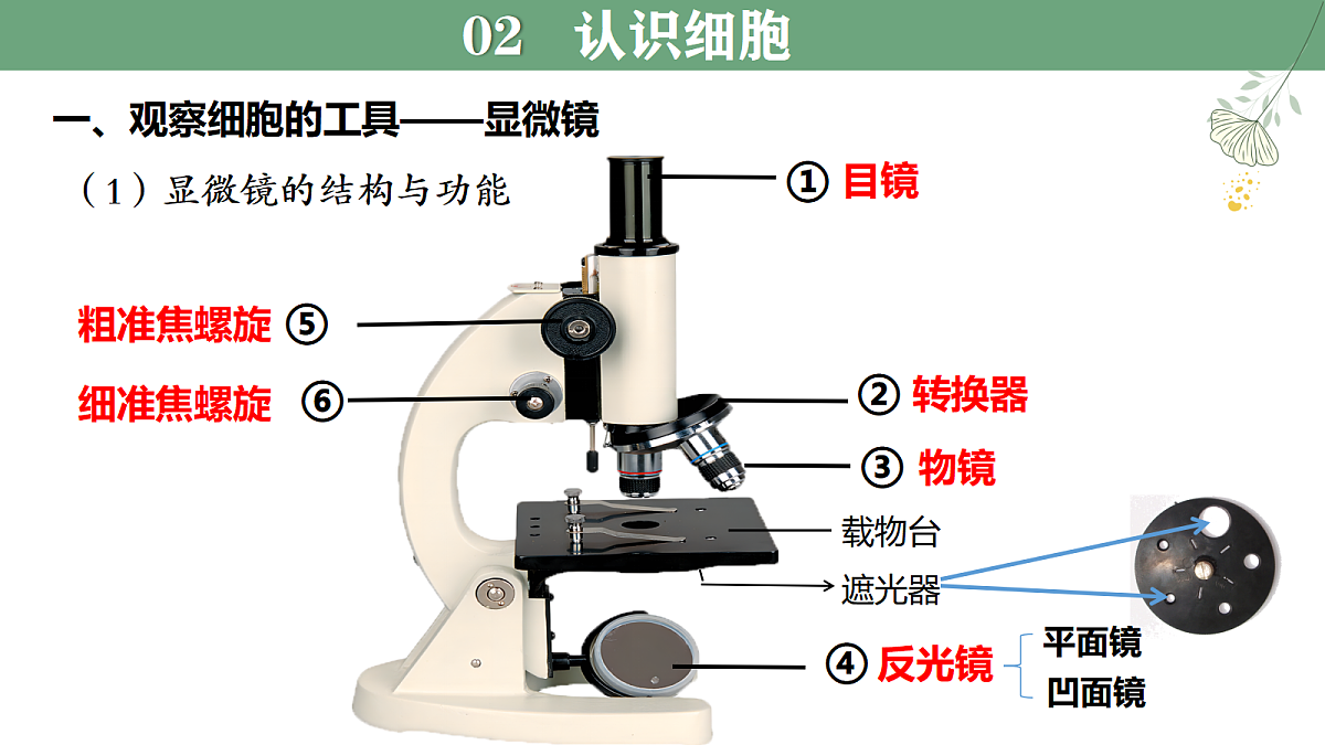 18364086第7页