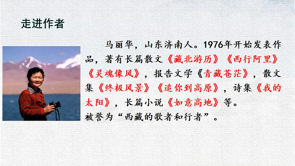 18366377第8页