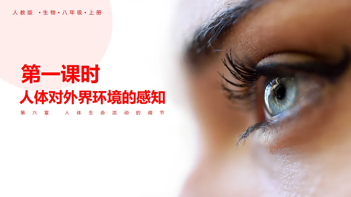 18366663第1页