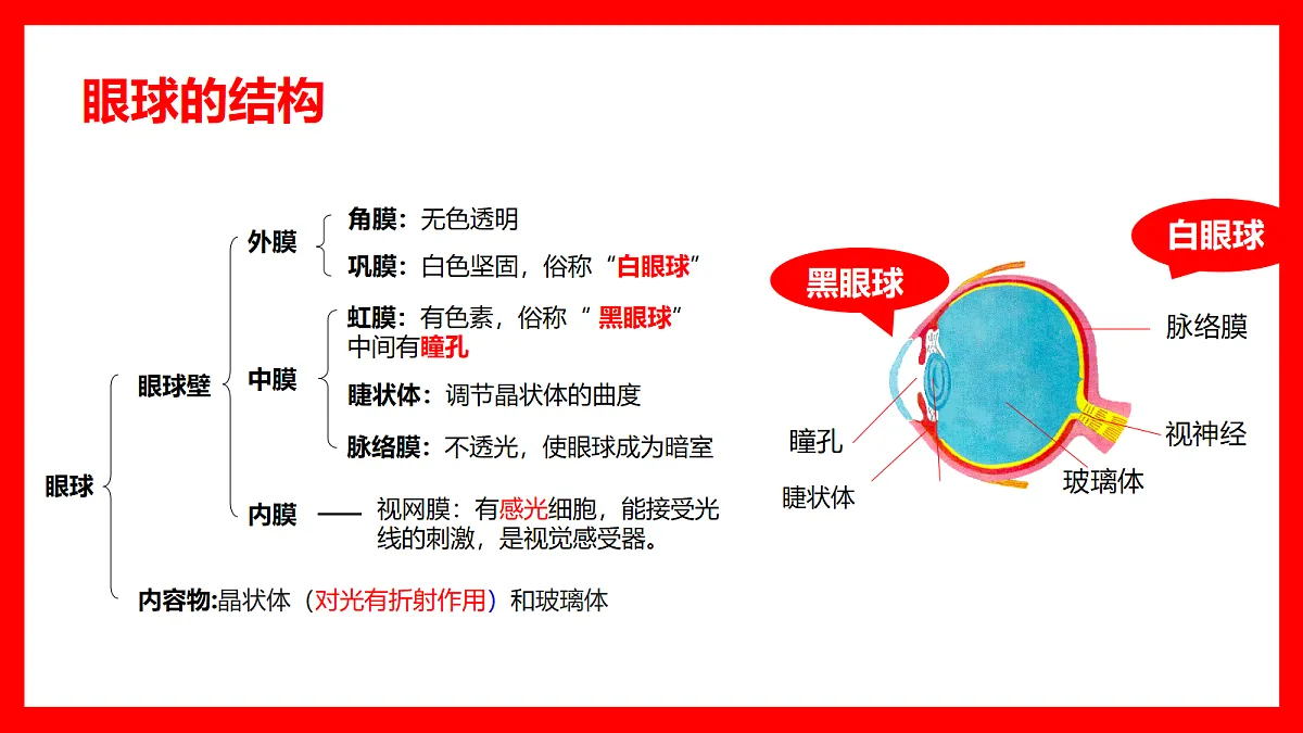 18366663第3页