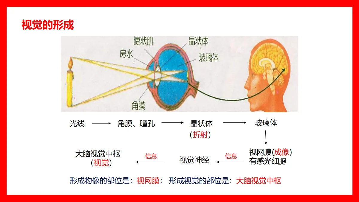 18366663第4页