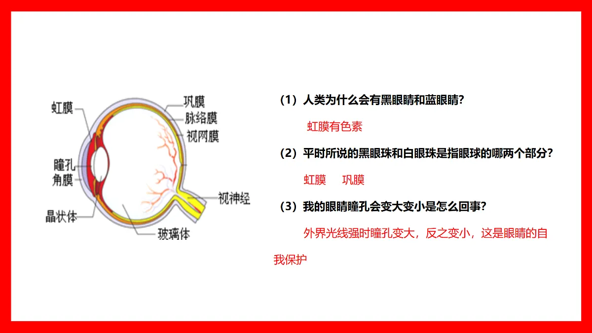 18366663第7页