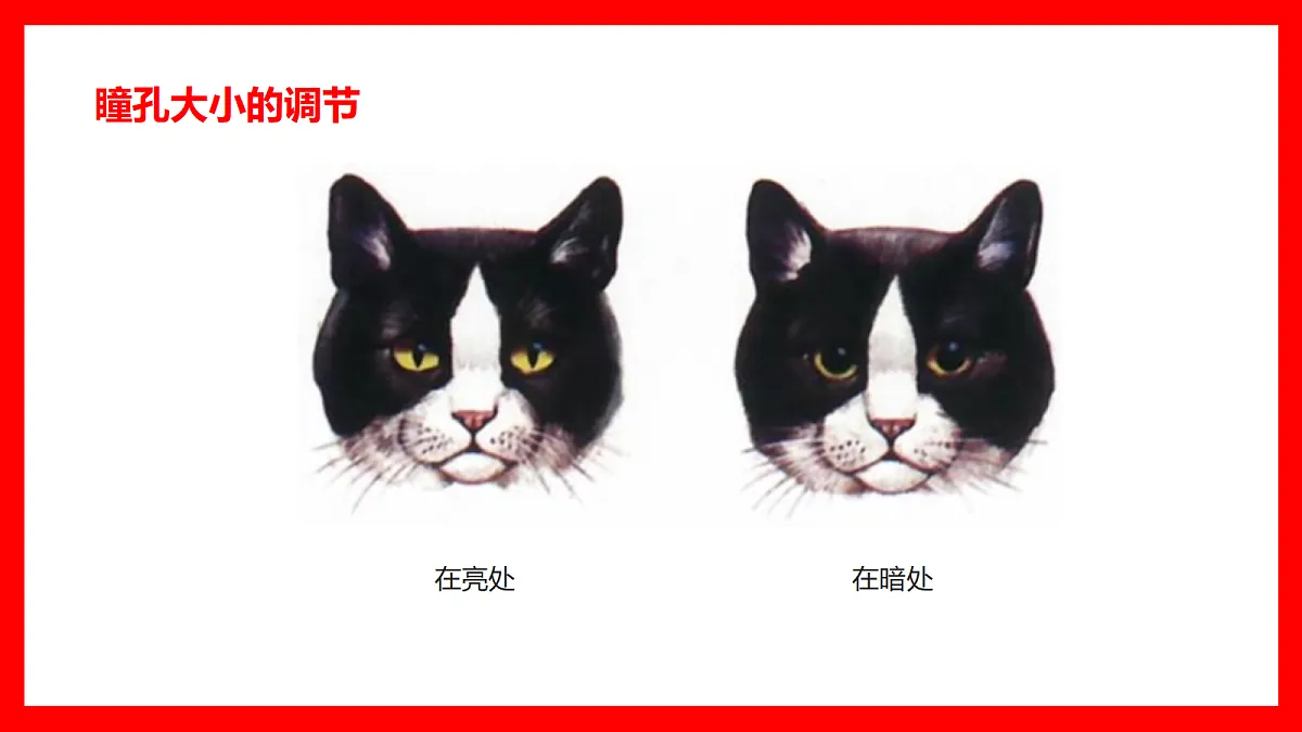 18366663第8页