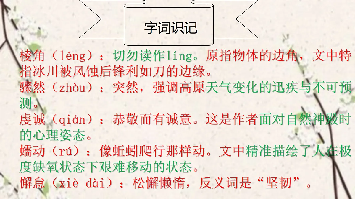 18367385第2页