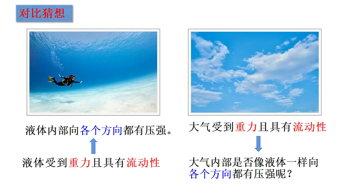 18368029第2页