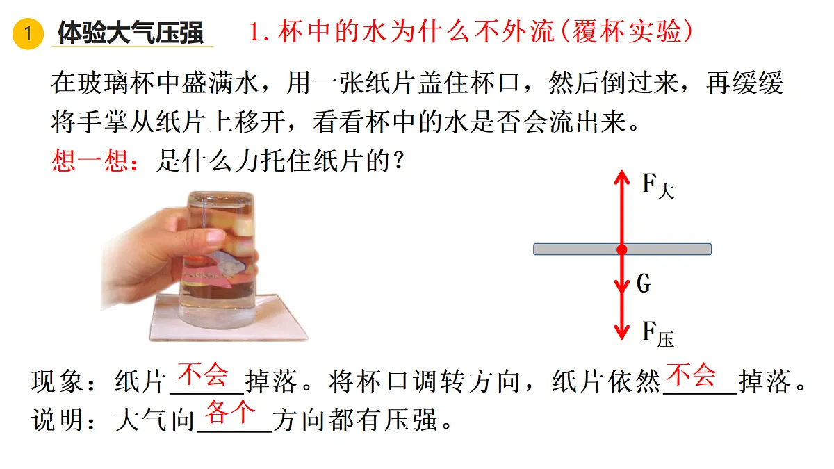 18368029第3页