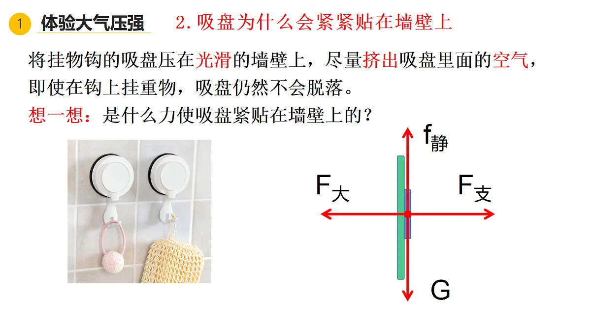 18368029第4页
