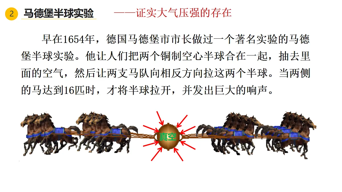 18368029第7页