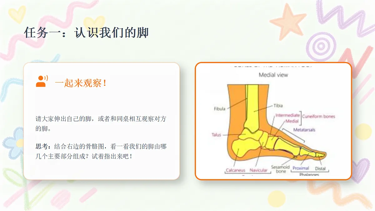 18368053第5页