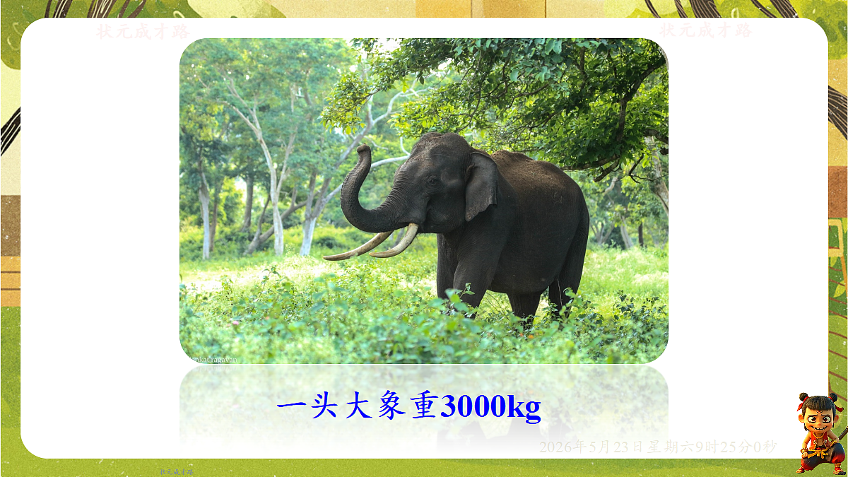 18371459第4页