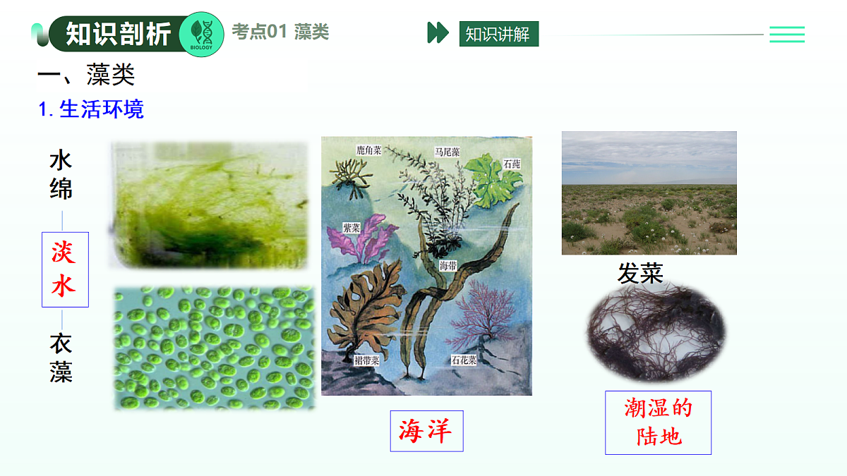 18371788第4页