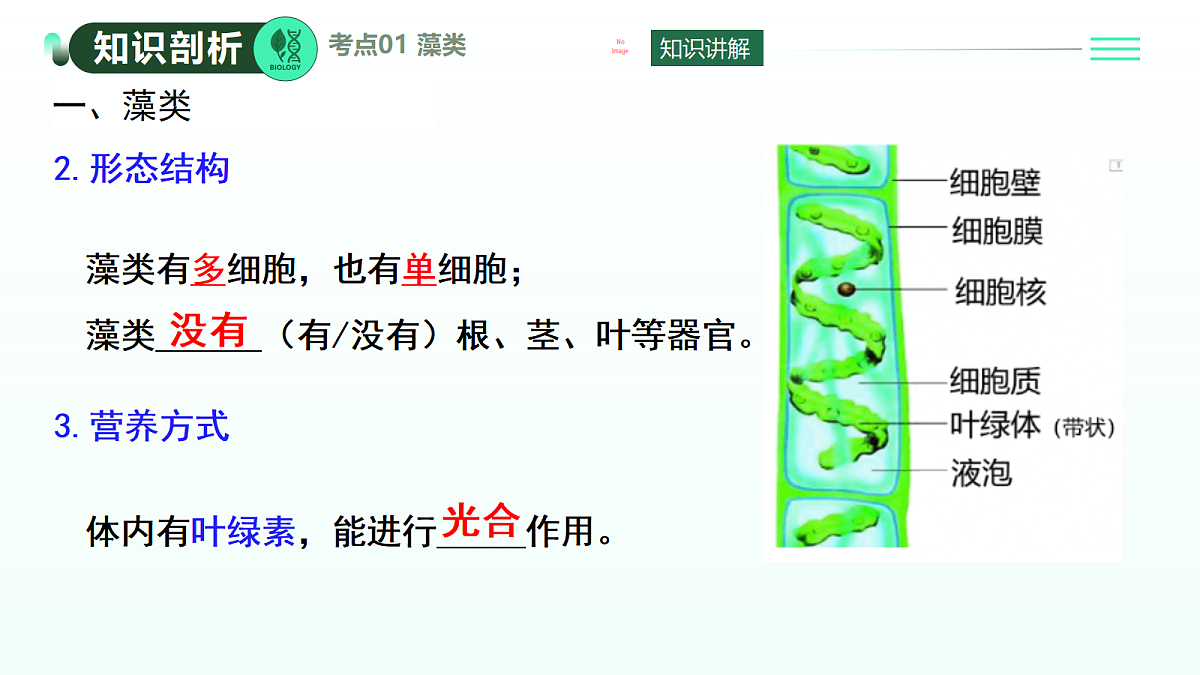 18371788第5页