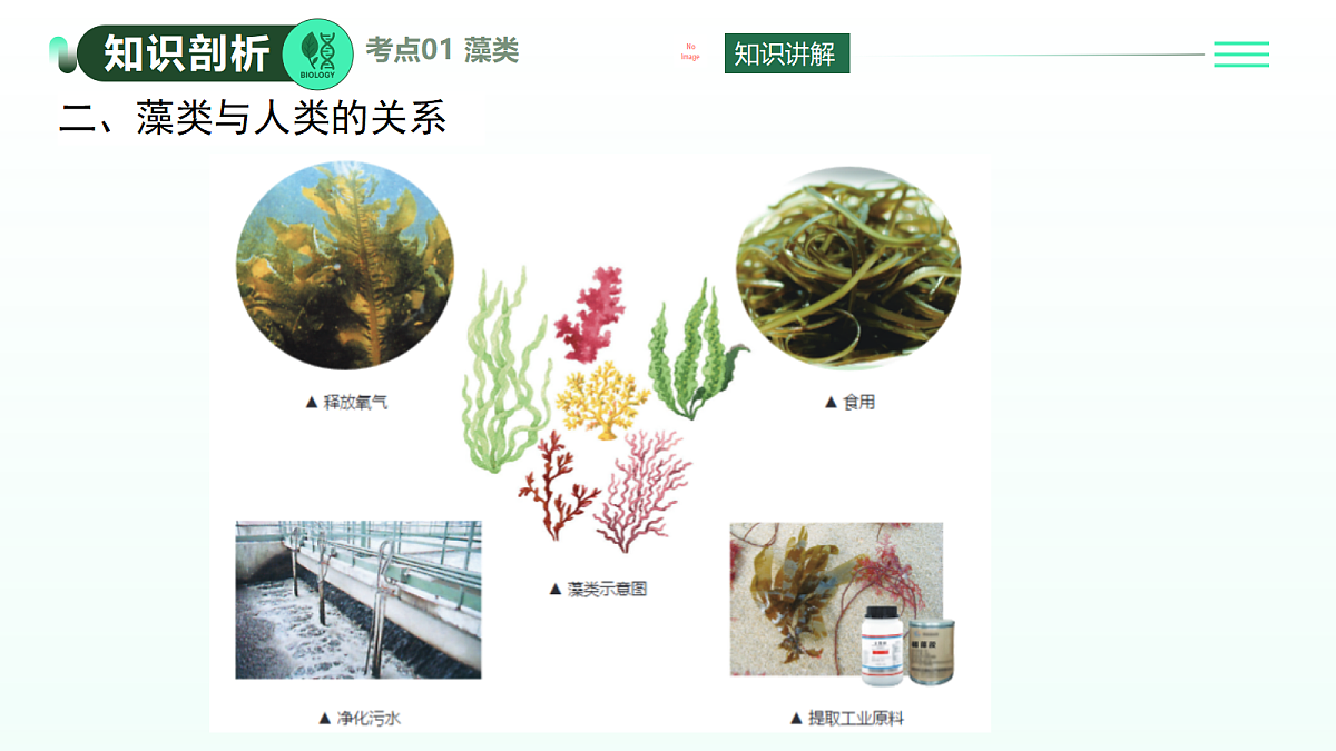 18371788第6页