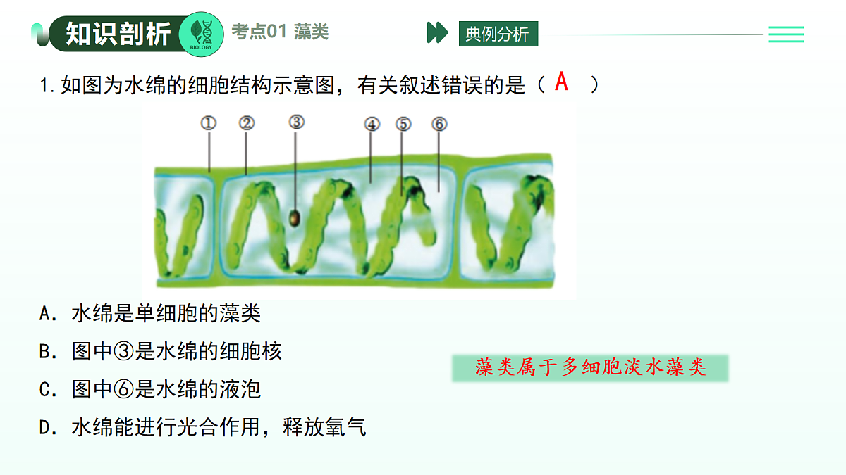 18371788第8页