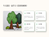 第二单元第一课《茂密的树林》教学课件-2025-2026学年广美版（新教材）小学美术三年级下册