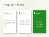 第二单元第二课《苍翠的树》教学课件-2025-2026学年广美版（新教材）小学美术三年级下册