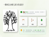 第二单元第二课《苍翠的树》教学课件-2025-2026学年广美版（新教材）小学美术三年级下册