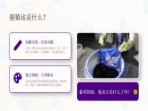 第四单元第一课《精美的图案》课件-2025-2026学年广美版（新教材）小学美术三年级下册