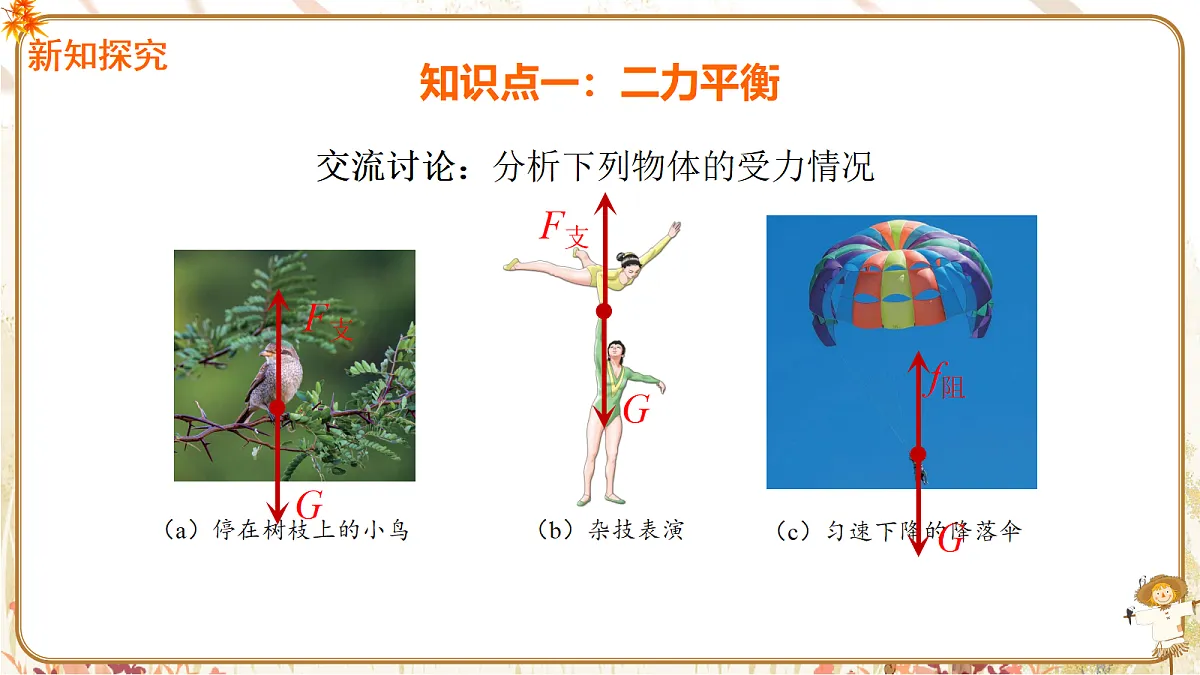 18372861第5页
