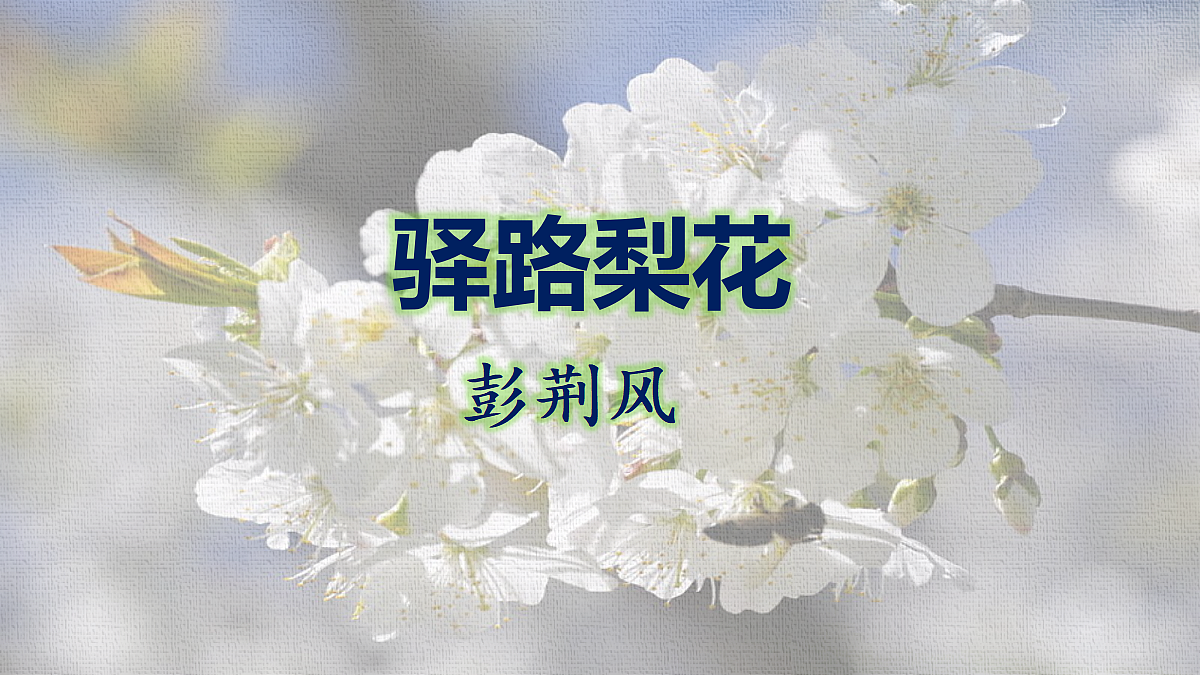 18374153第1页