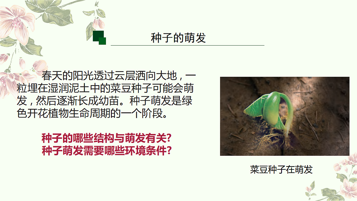 18374754第3页
