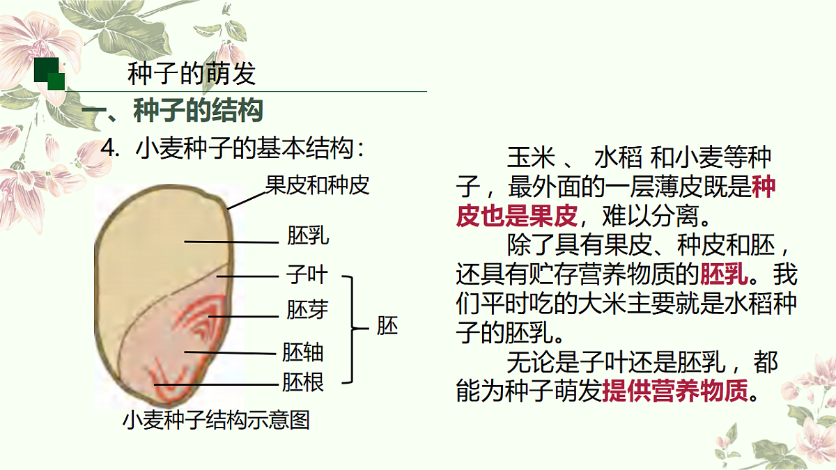 18374754第7页