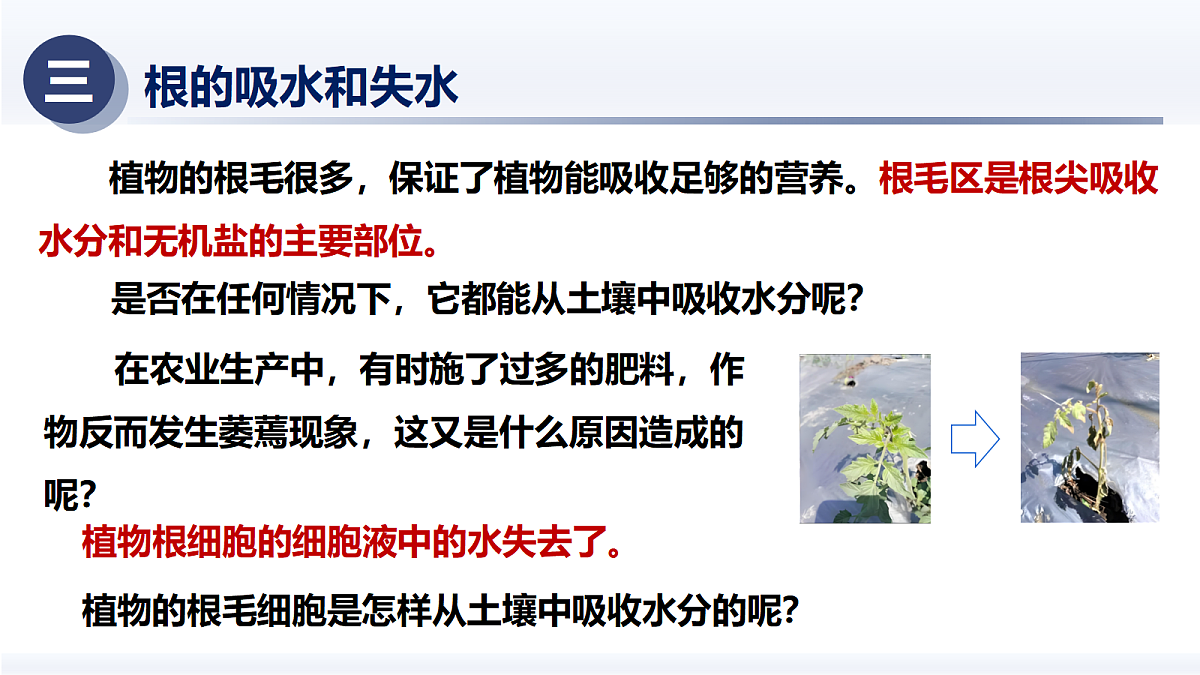 18375322第6页