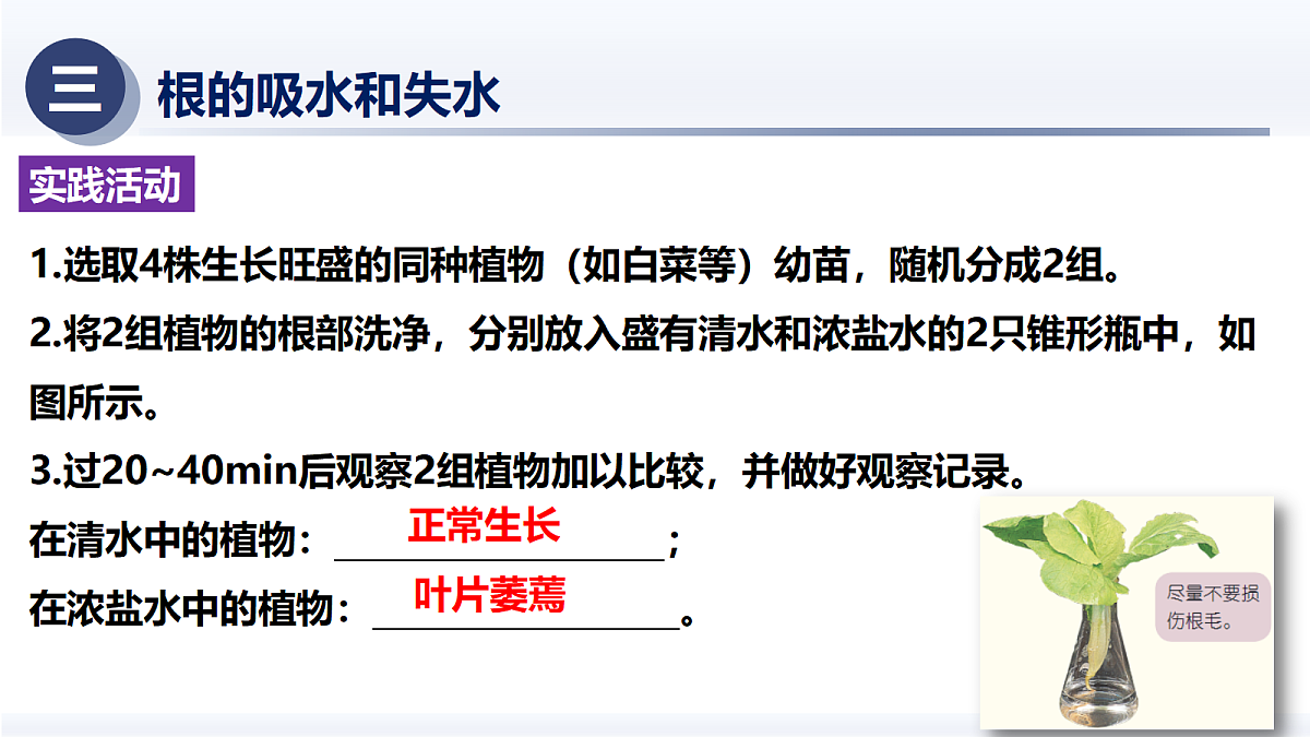 18375322第7页