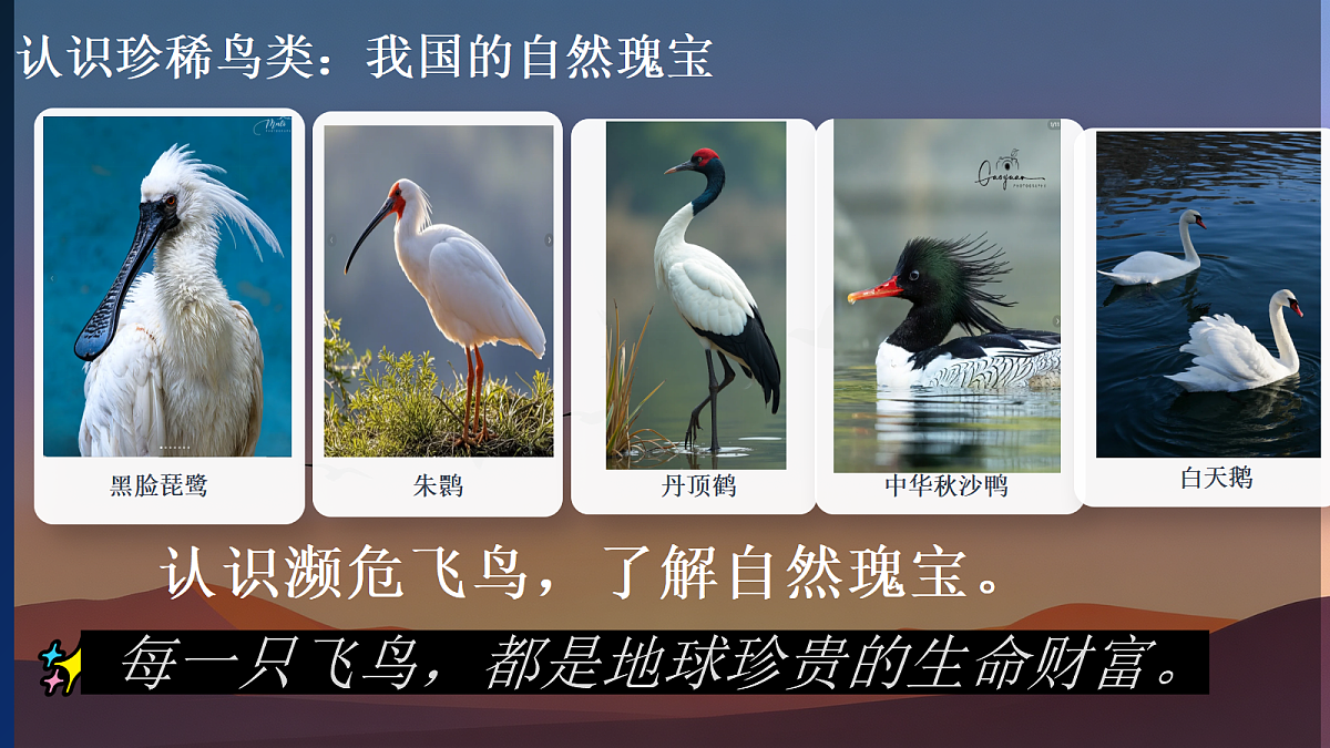 18375952第4页
