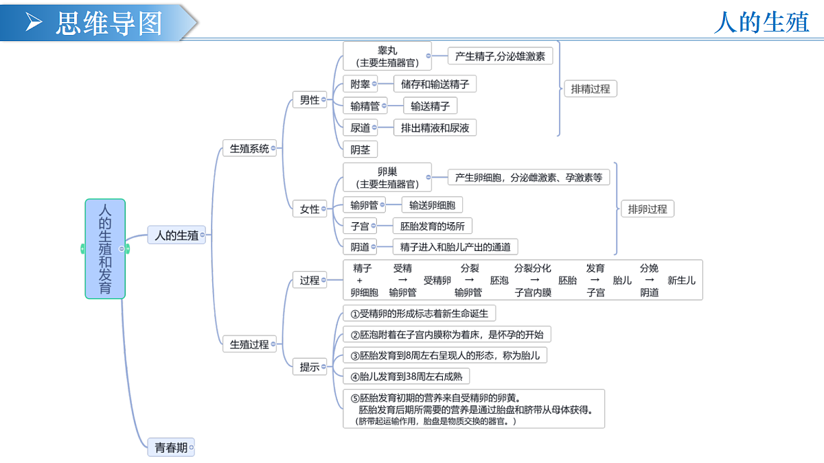 18376057第3页