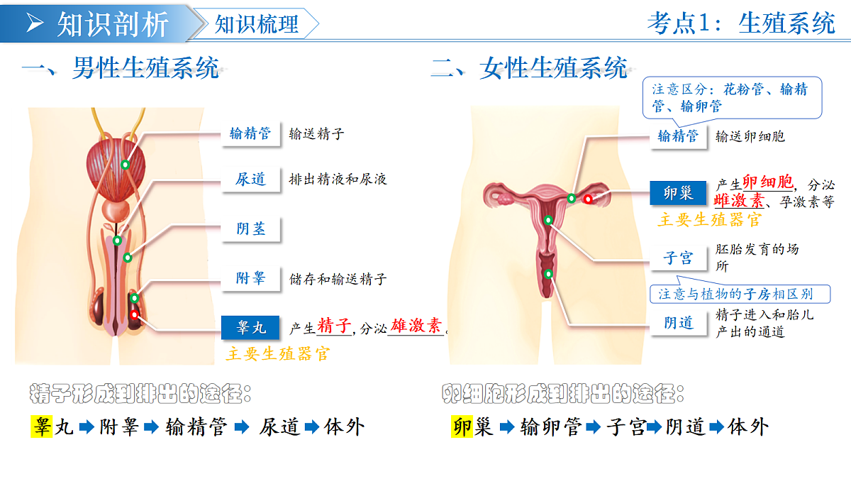 18376057第5页